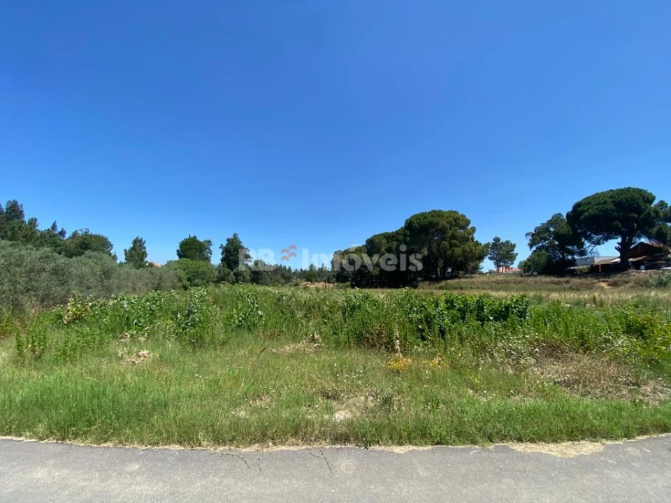 Terreno Agricola ou Rústico para Venda em São João Baptista e Santa Maria dos Olivais Foto 8