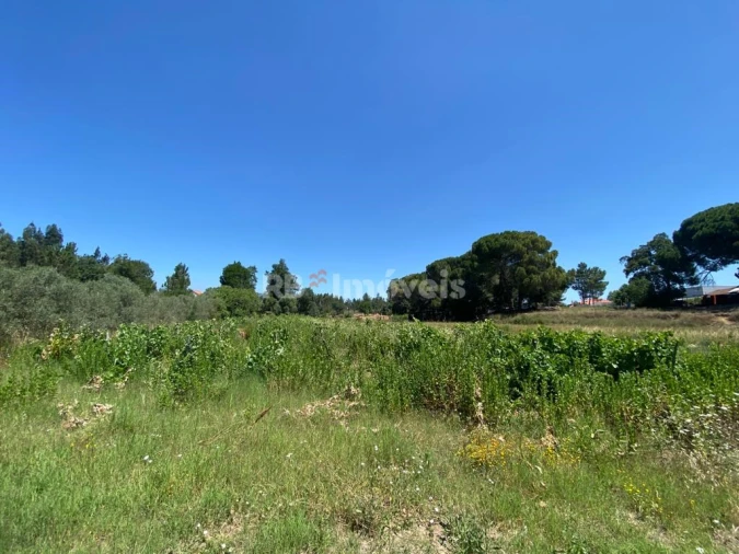 Terreno Agricola ou Rústico para Venda em São João Baptista e Santa Maria dos Olivais Foto 9