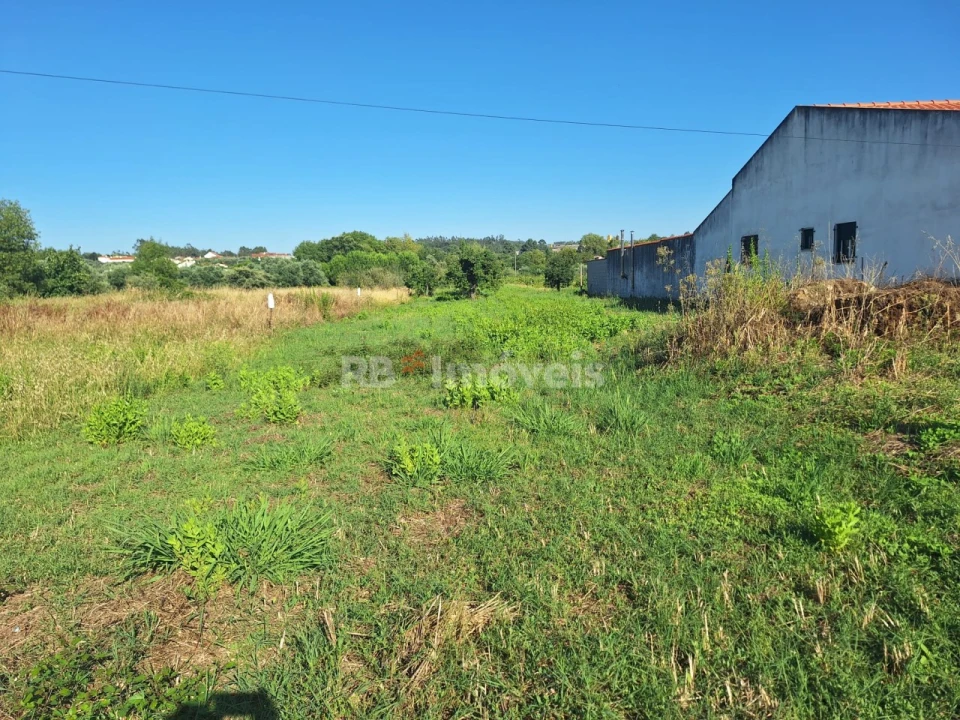 Terreno Agricola ou Rústico para Venda em São Pedro de Tomar Foto 3