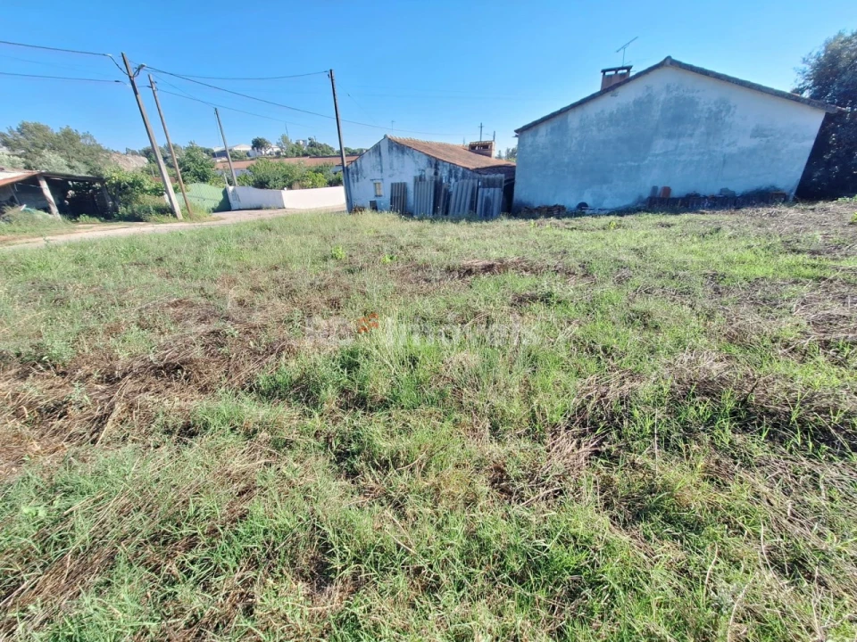Terreno Agricola ou Rústico para Venda em São Pedro de Tomar Foto 2