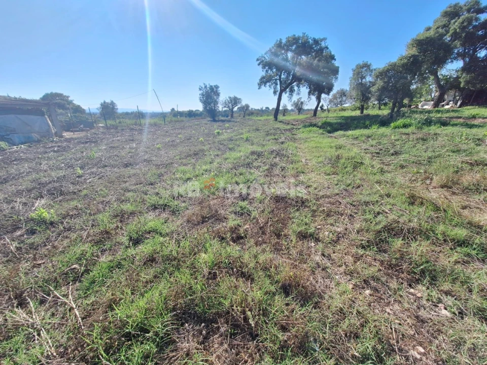 Terreno Agricola ou Rústico para Venda em São Pedro de Tomar Foto 4