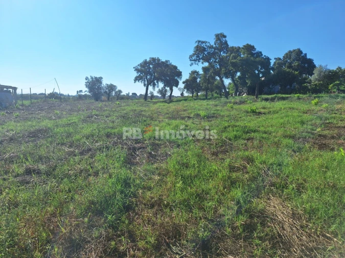 Terreno Agricola ou Rústico para Venda em São Pedro de Tomar