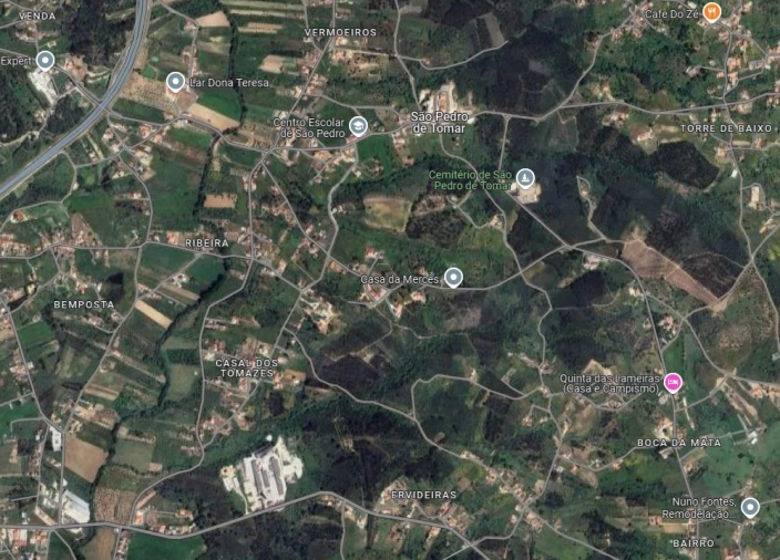Terreno Agricola ou Rústico para Venda em São Pedro de Tomar Planta 1
