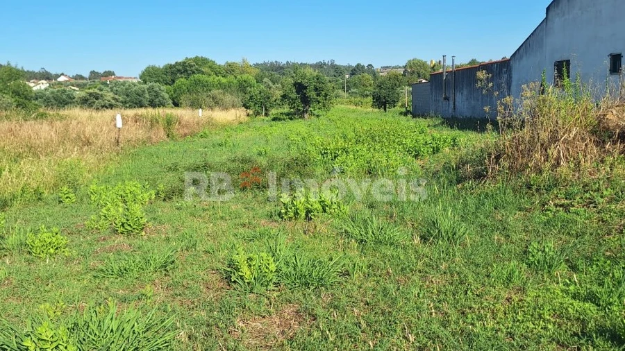 Terreno Agricola ou Rústico para Venda em São Pedro de Tomar