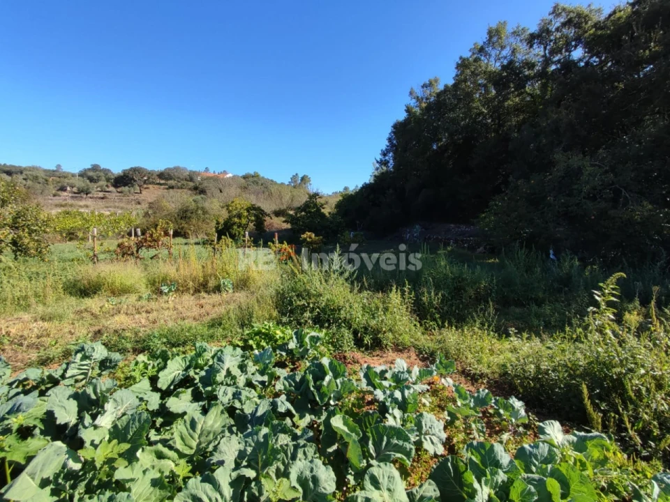Terreno para Venda em Além da Ribeira e Pedreira Foto 5