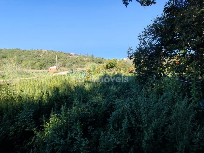 Terreno para Venda em Além da Ribeira e Pedreira Foto 7