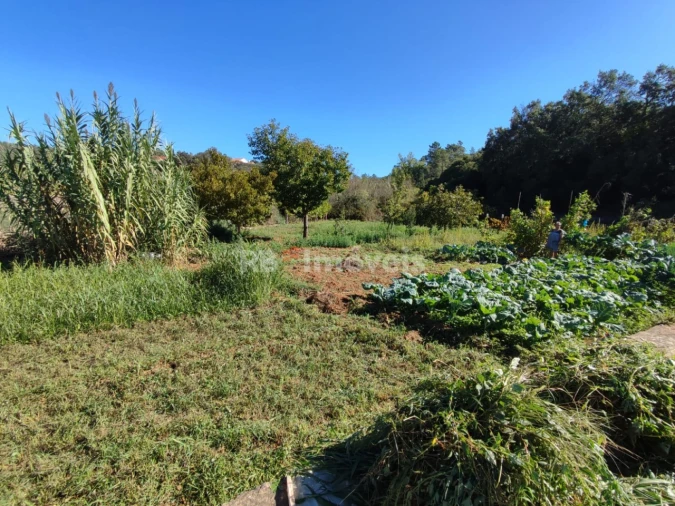 Terreno para Venda em Além da Ribeira e Pedreira Foto 2