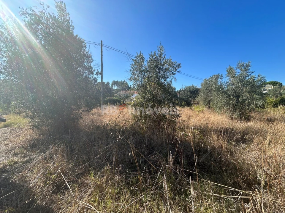Terreno Agricola ou Rústico para Venda em Serra e Junceira Foto 34
