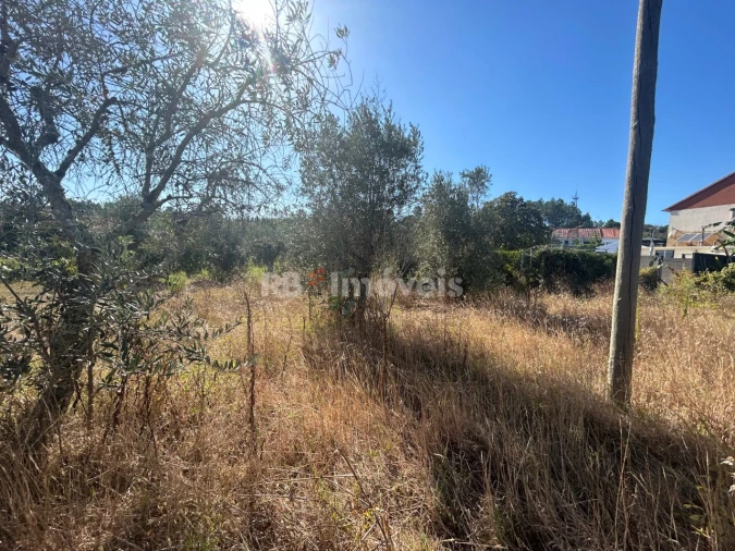 Terreno Agricola ou Rústico para Venda em Serra e Junceira Foto 31