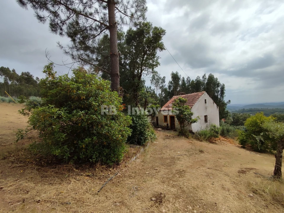Quinta T3 para Venda em Areias e Pias Foto 40