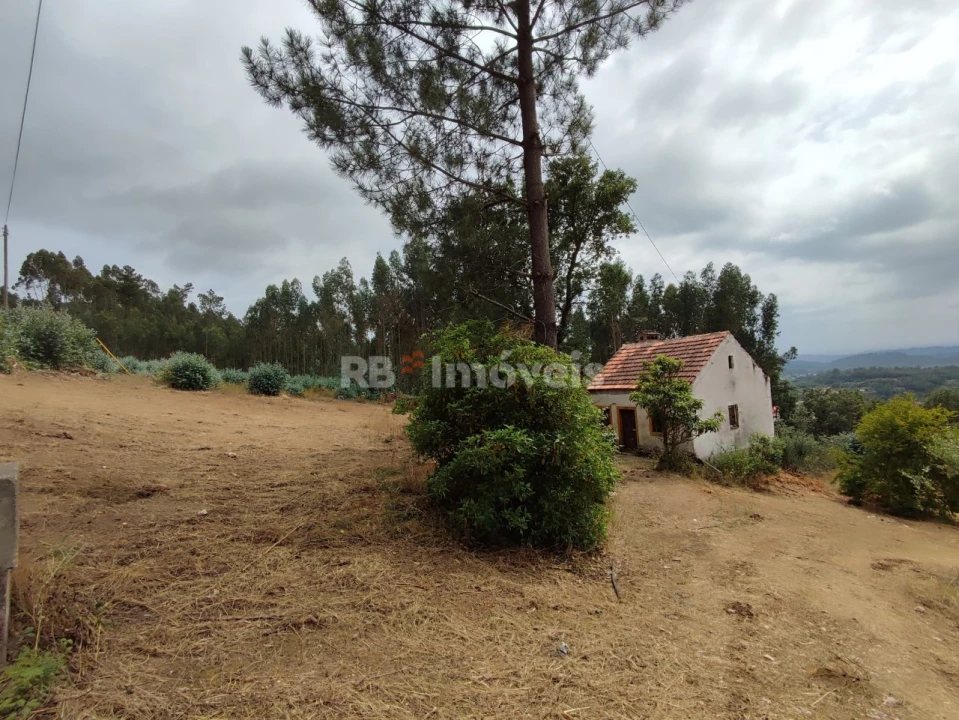 Quinta T3 para Venda em Areias e Pias Foto 39