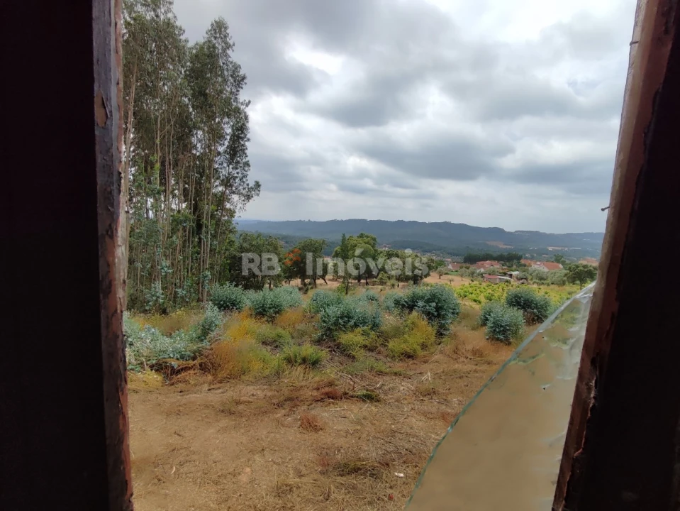 Quinta T3 para Venda em Areias e Pias Foto 34