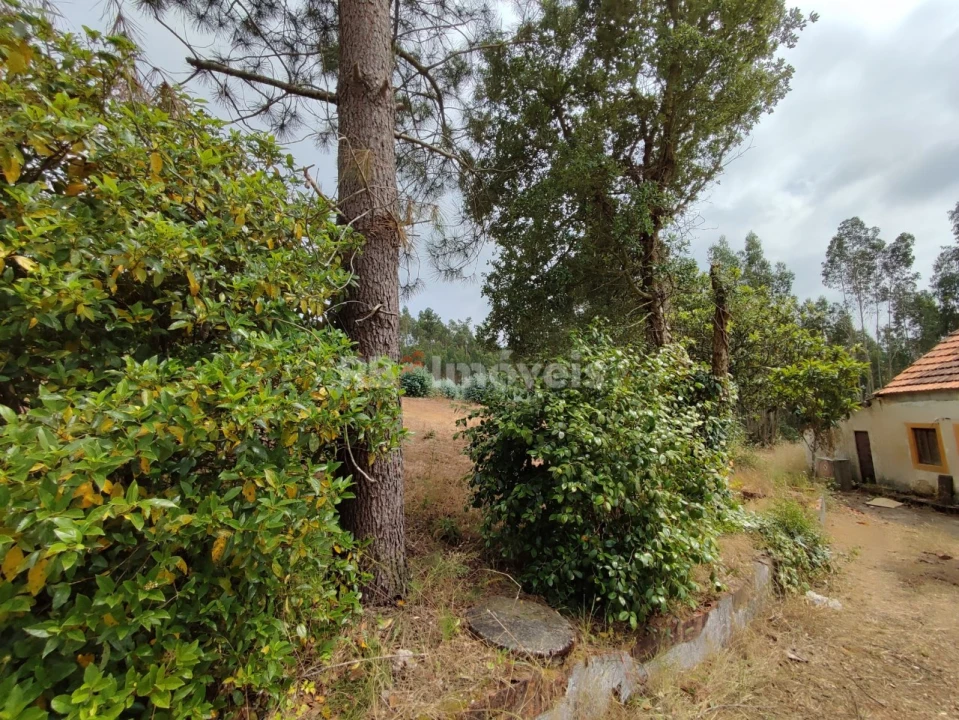Quinta T3 para Venda em Areias e Pias Foto 41