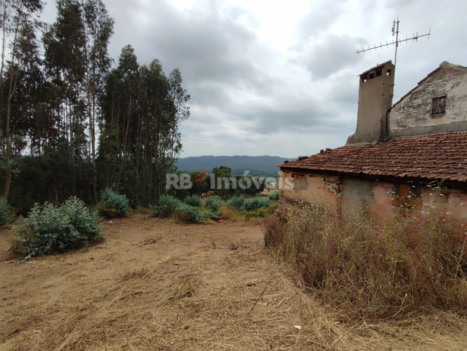 Quinta T3 para Venda em Areias e Pias Foto 2