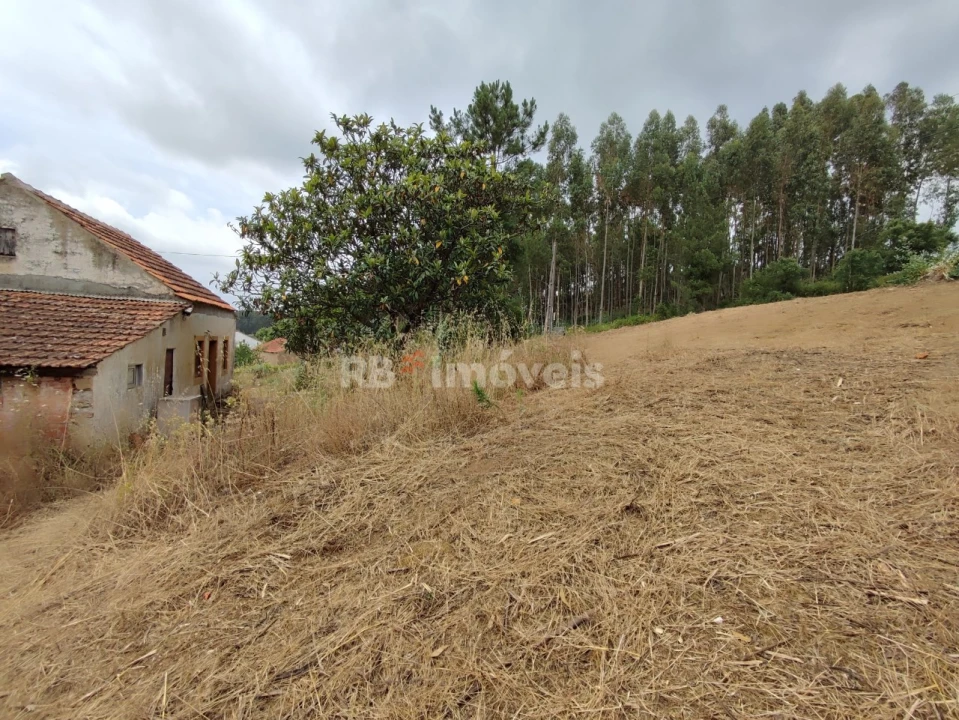 Quinta T3 para Venda em Areias e Pias Foto 42