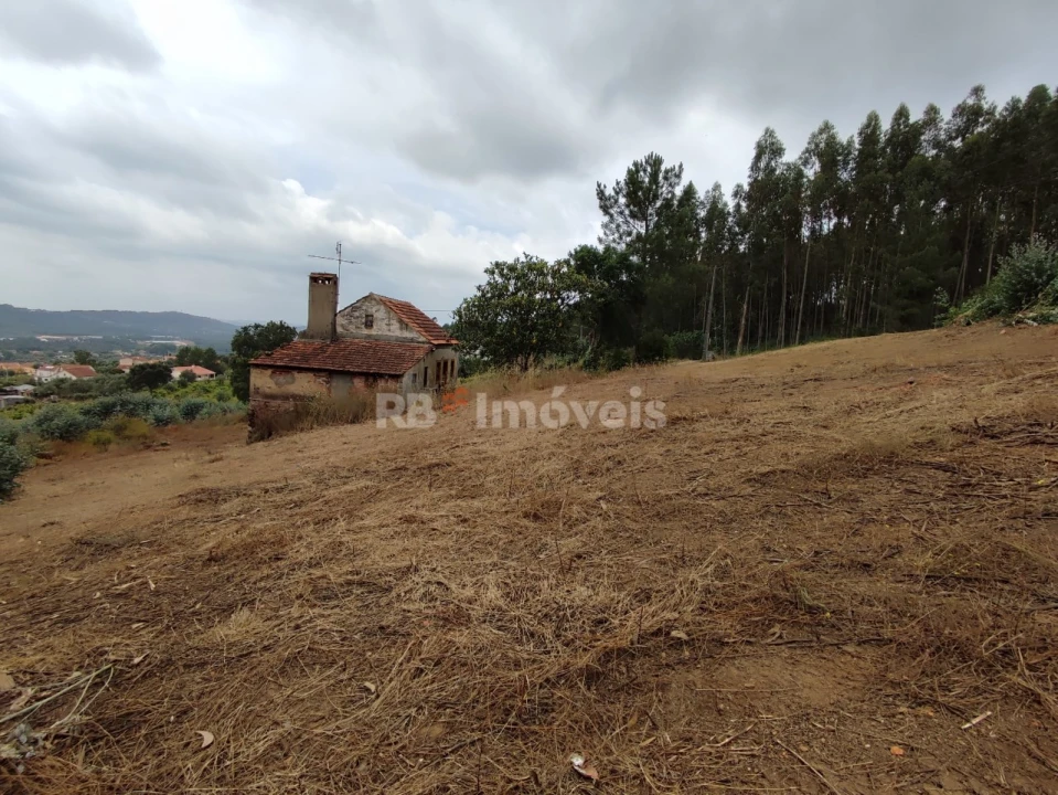 Quinta T3 para Venda em Areias e Pias Foto 45