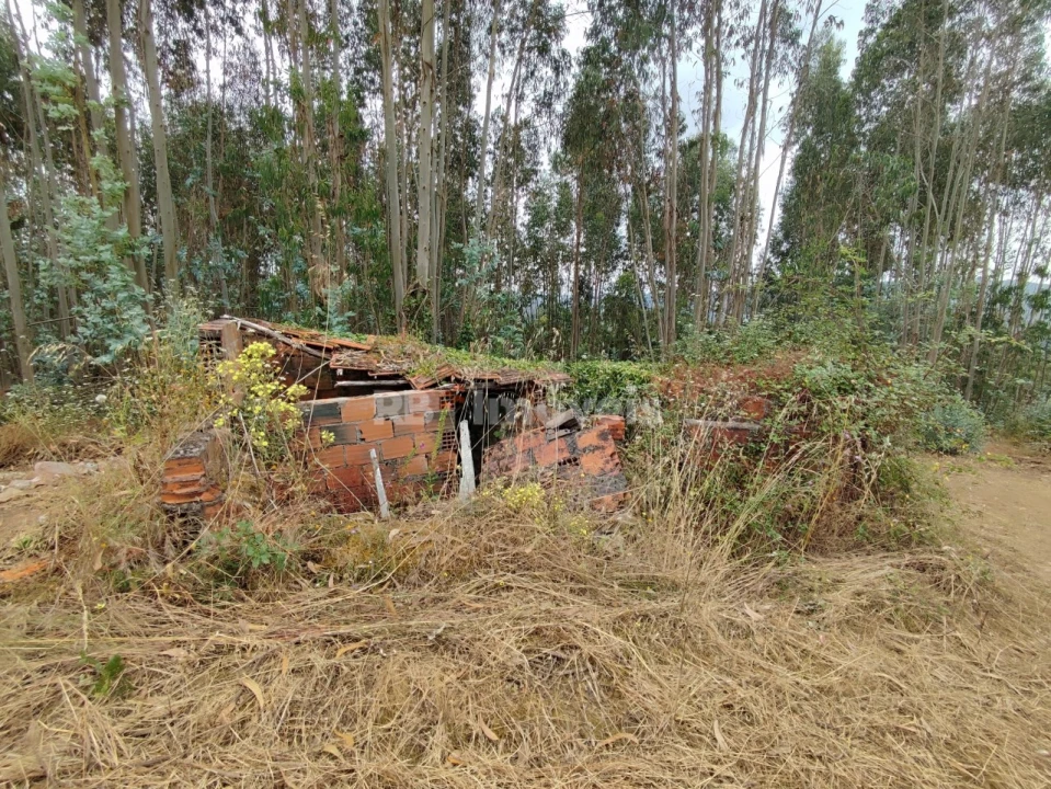Quinta T3 para Venda em Areias e Pias Foto 48