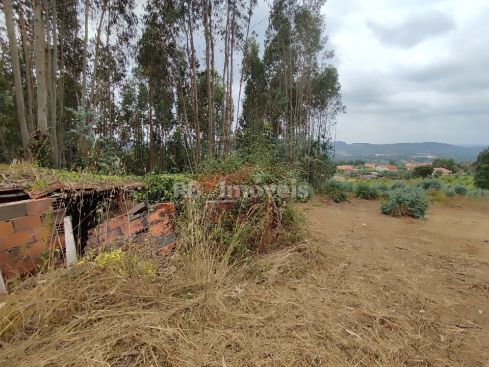 Quinta T3 para Venda em Areias e Pias Foto 49