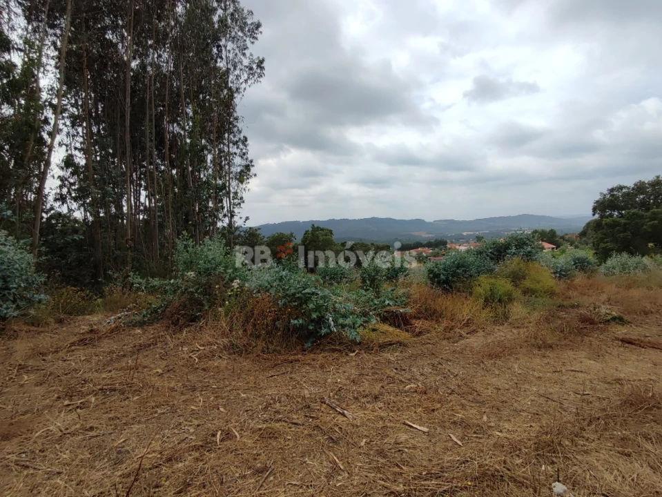 Quinta T3 para Venda em Areias e Pias Foto 51