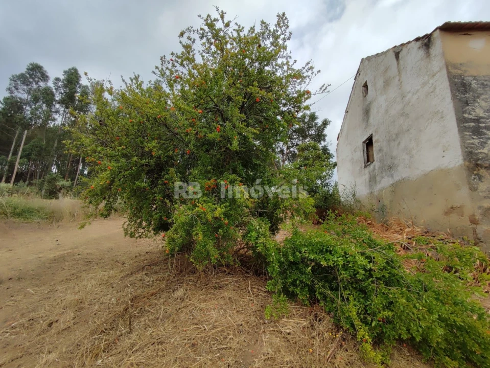 Quinta T3 para Venda em Areias e Pias Foto 65