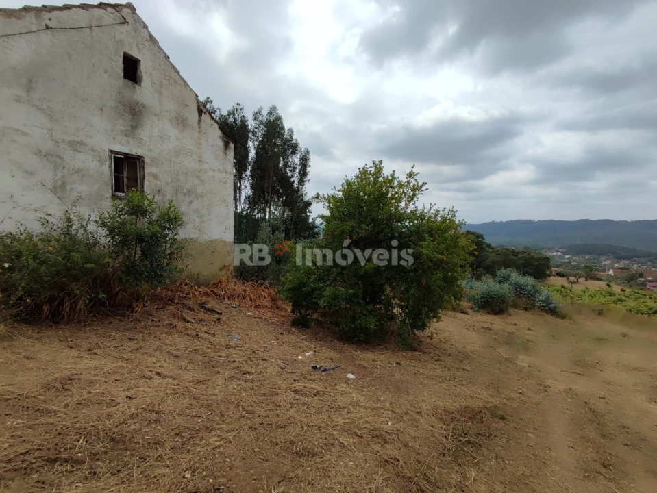 Quinta T3 para Venda em Areias e Pias Foto 66