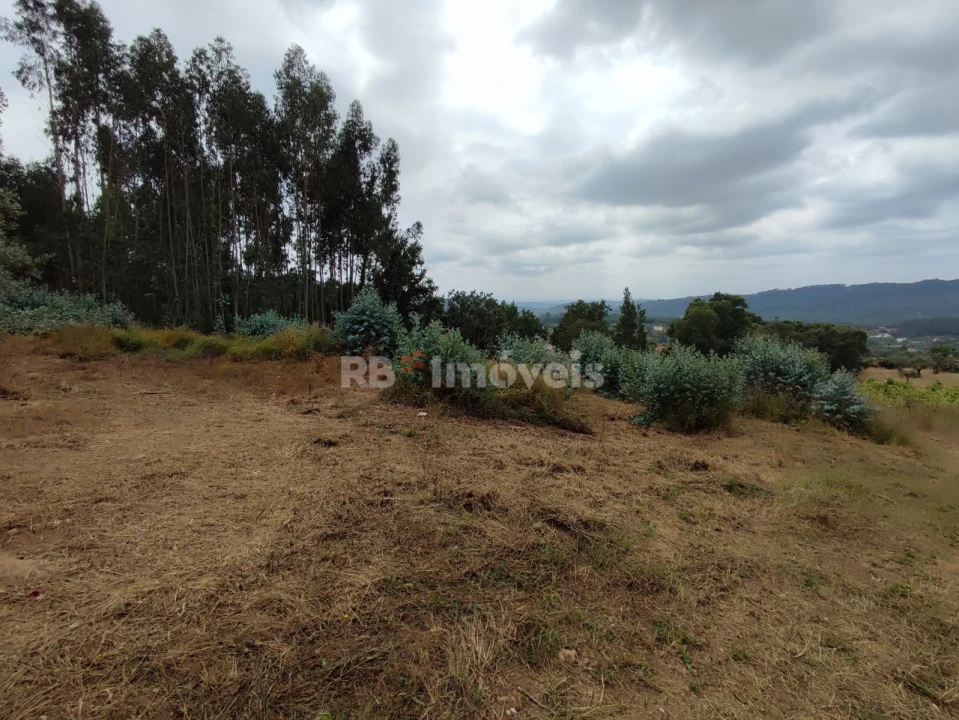 Quinta T3 para Venda em Areias e Pias Foto 67