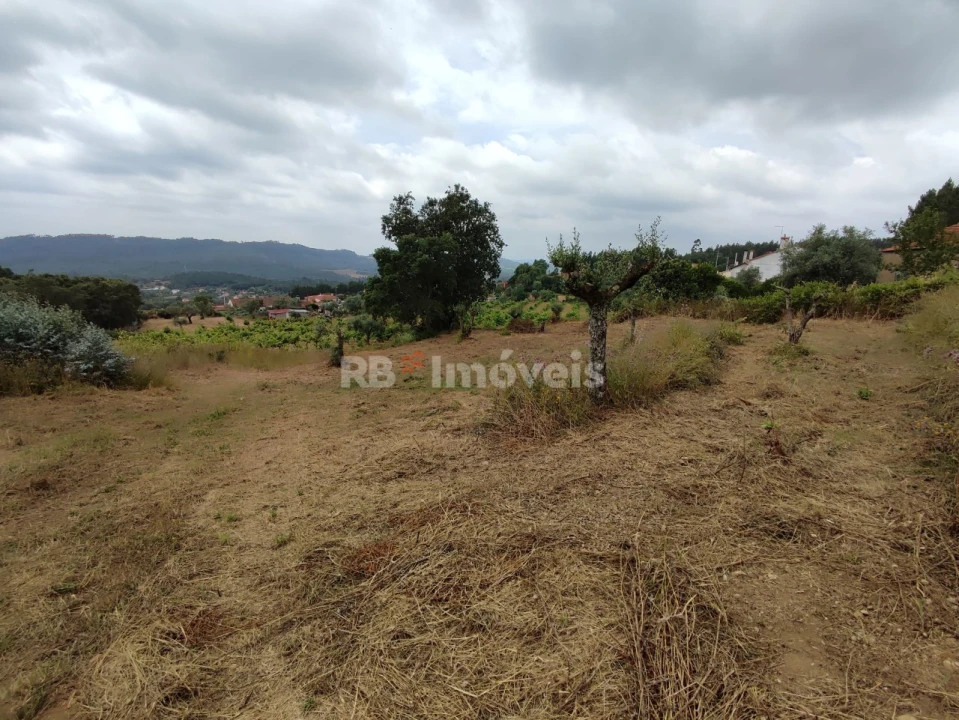 Quinta T3 para Venda em Areias e Pias Foto 68