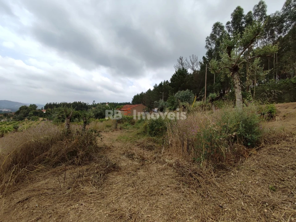 Quinta T3 para Venda em Areias e Pias Foto 69