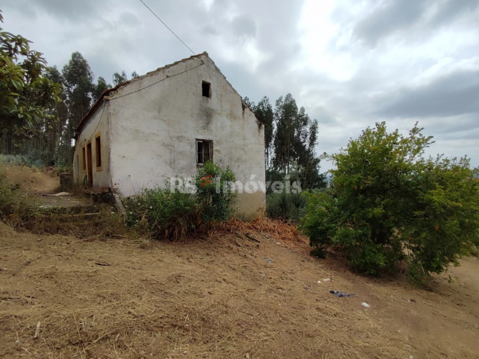 Quinta T3 para Venda em Areias e Pias Foto 70