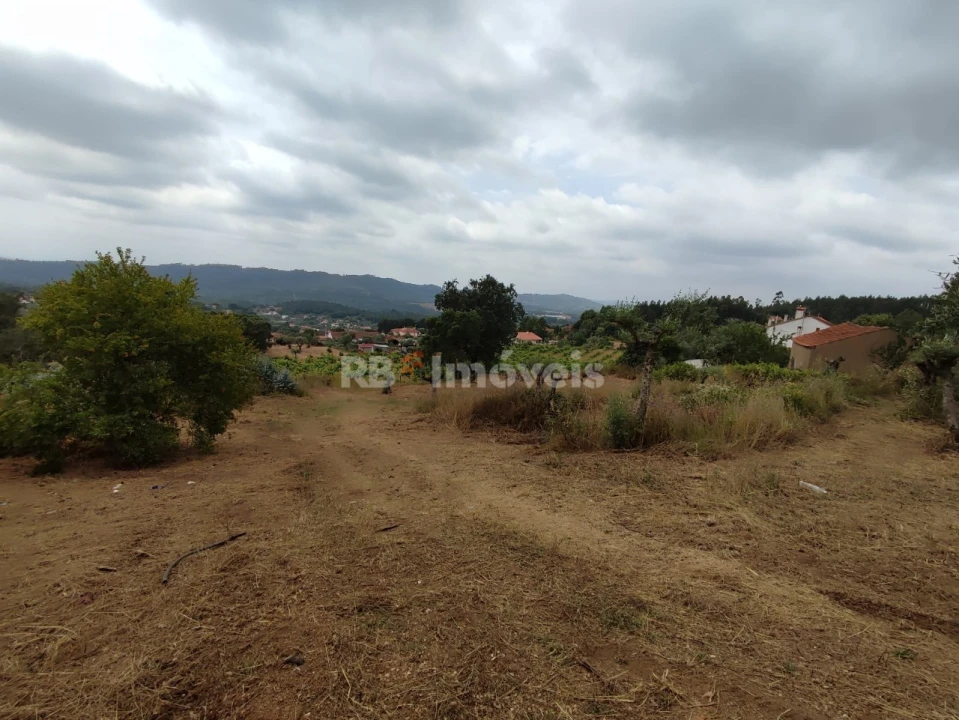 Quinta T3 para Venda em Areias e Pias Foto 71