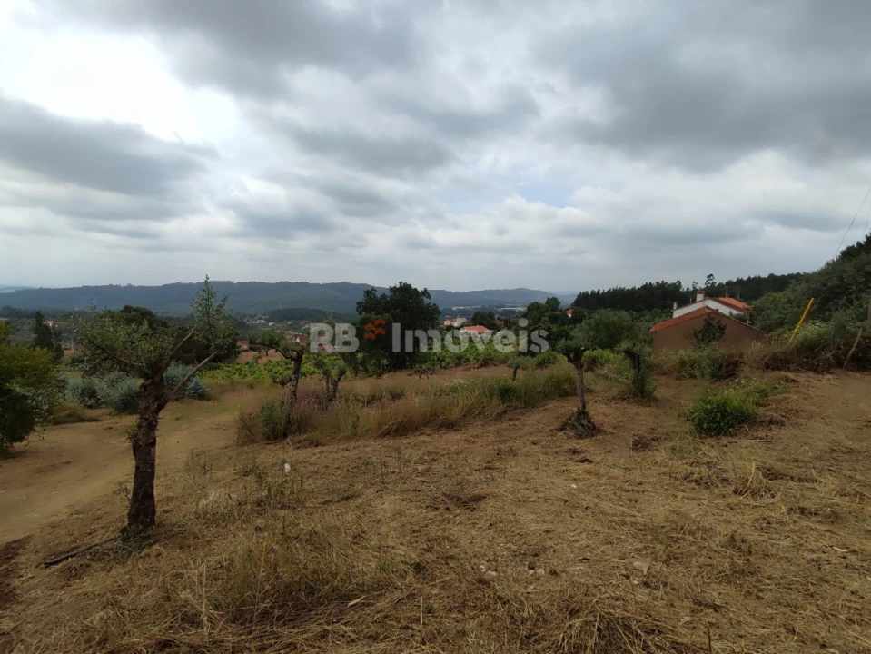 Quinta T3 para Venda em Areias e Pias Foto 72