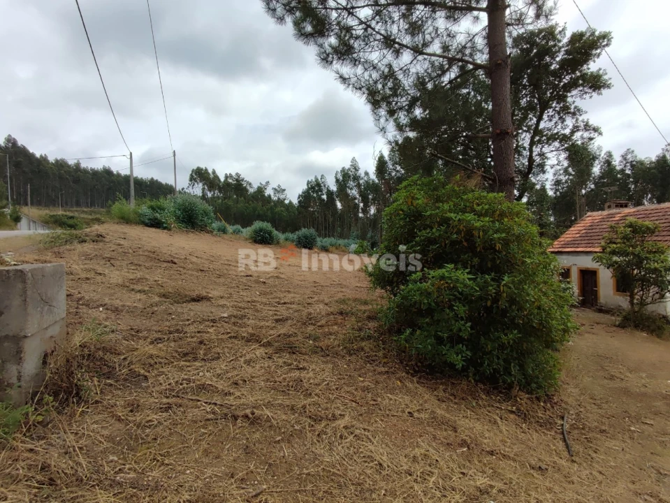 Quinta T3 para Venda em Areias e Pias Foto 73