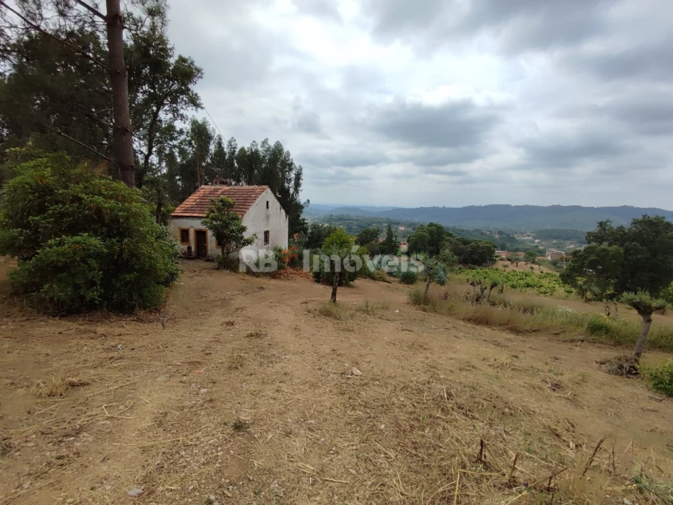 Quinta T3 para Venda em Areias e Pias Foto 74