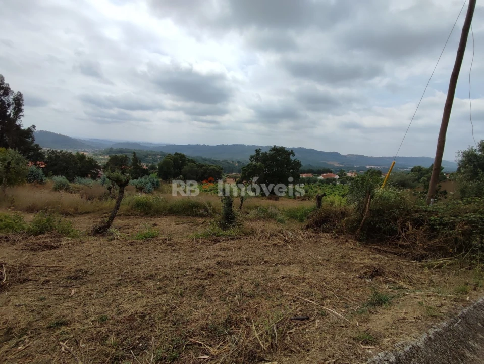 Quinta T3 para Venda em Areias e Pias Foto 76