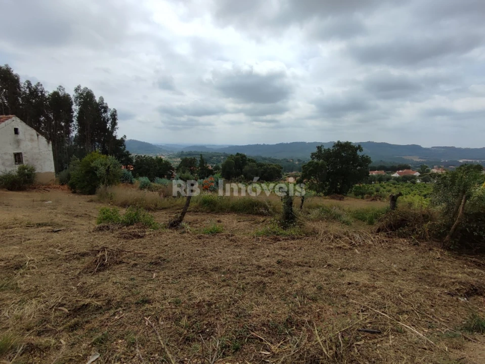 Quinta T3 para Venda em Areias e Pias Foto 77