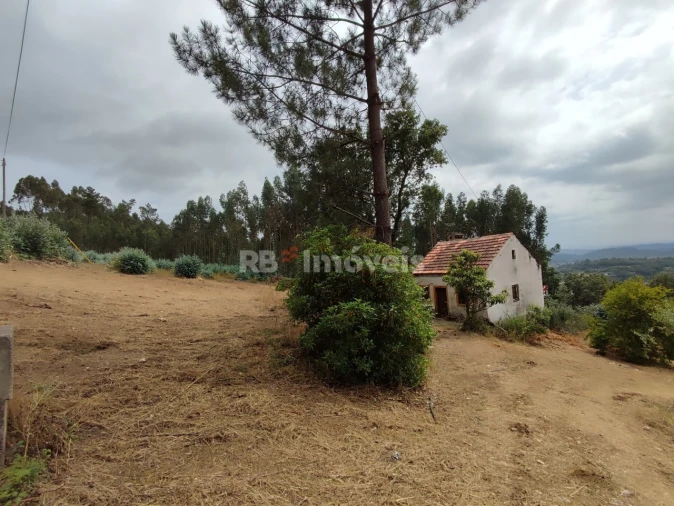 Quinta T3 para Venda em Areias e Pias Foto 39