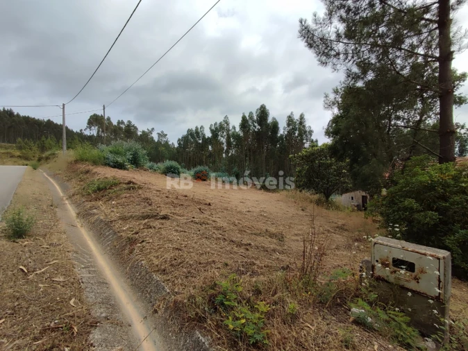 Quinta T3 para Venda em Areias e Pias Foto 5