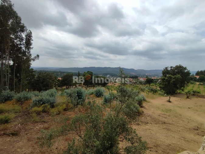 Quinta T3 para Venda em Areias e Pias Foto 4