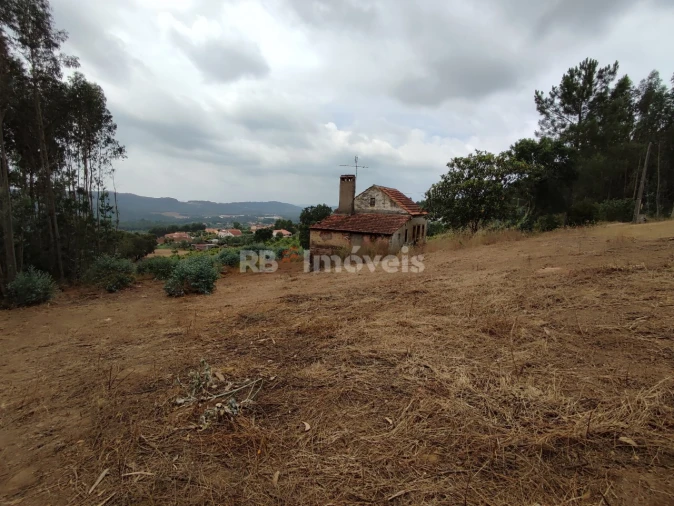 Quinta T3 para Venda em Areias e Pias Foto 44