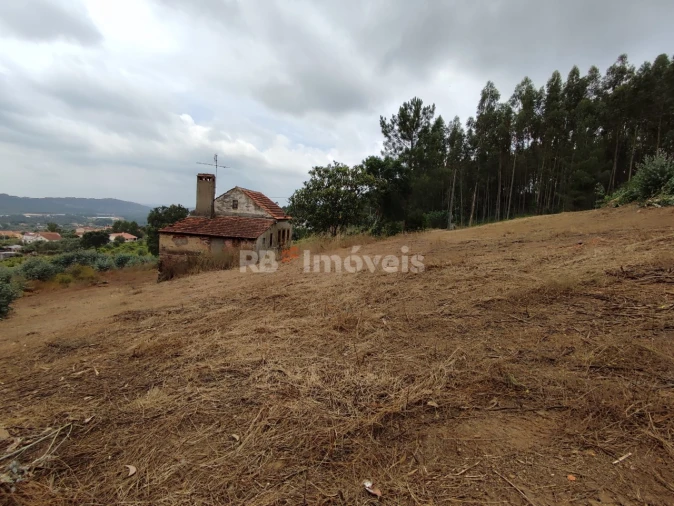 Quinta T3 para Venda em Areias e Pias Foto 45
