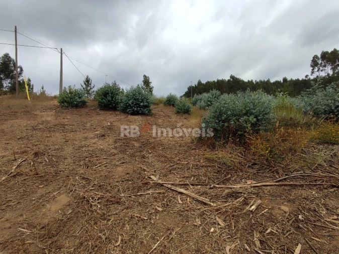 Quinta T3 para Venda em Areias e Pias Foto 46