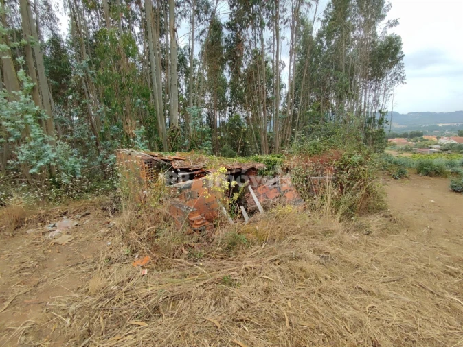 Quinta T3 para Venda em Areias e Pias Foto 47