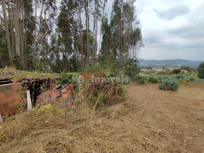 Quinta T3 para Venda em Areias e Pias Foto 49