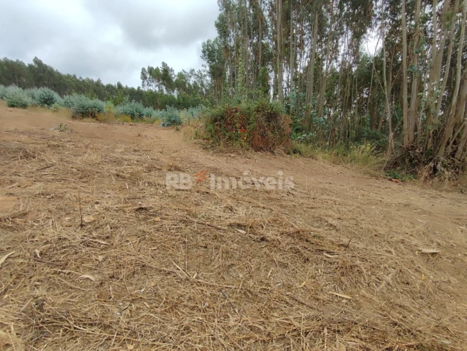 Quinta T3 para Venda em Areias e Pias Foto 50