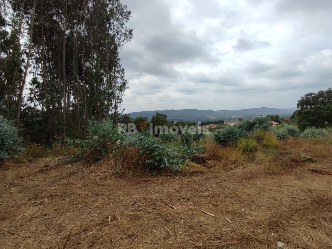 Quinta T3 para Venda em Areias e Pias Foto 51