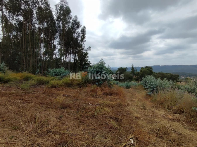 Quinta T3 para Venda em Areias e Pias Foto 63