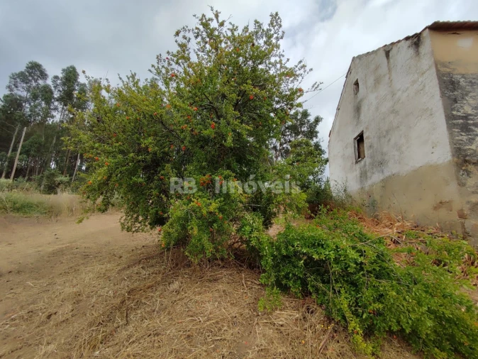 Quinta T3 para Venda em Areias e Pias Foto 65