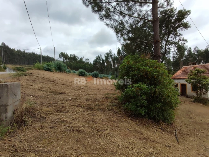 Quinta T3 para Venda em Areias e Pias Foto 73