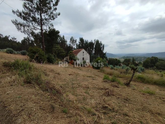 Quinta T3 para Venda em Areias e Pias Foto 75