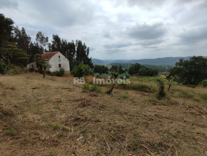 Quinta T3 para Venda em Areias e Pias Foto 78